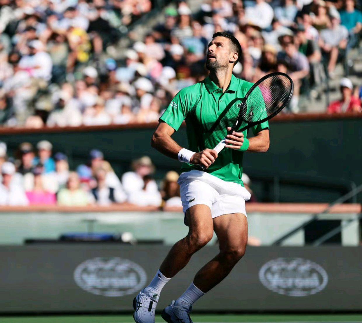 德约科维奇遭遇十连败，MAD教练面临压力！